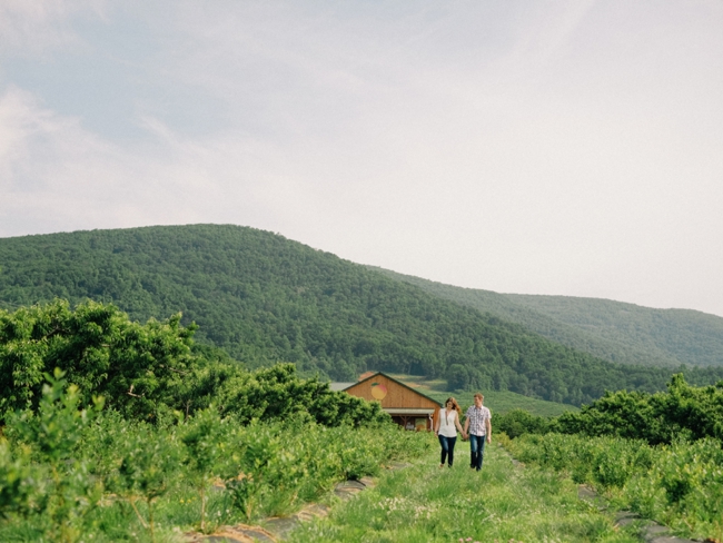 tammy keefer of jason keefer photography engagement portraits chiles peach orchard crozet va mountains valley
